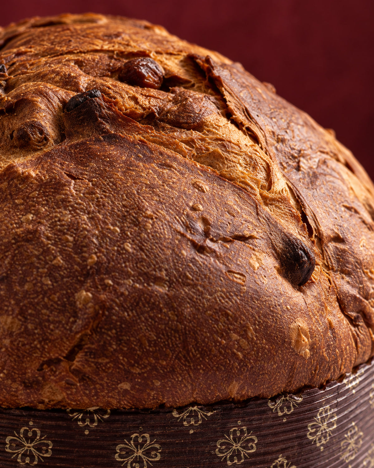 Primer plano de la textura del panettone Fiasconaro tradicional, con la corteza dorada agrietada y pasas a la vista